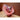 Thumbs Up Flowers Dried Bouquet