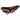 Brooks B17 Standard Saddle