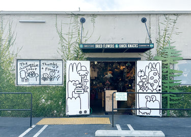 The Inconvenience Store