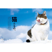 Load image into Gallery viewer, BRUTUS Magazine Cat Issue