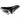 Brooks B17 Short