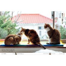 Load image into Gallery viewer, BRUTUS Magazine Cat Issue