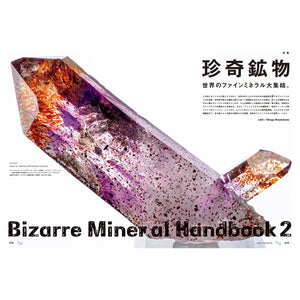 BRUTUS Magazine - Bizarre Mineral Handbook 2