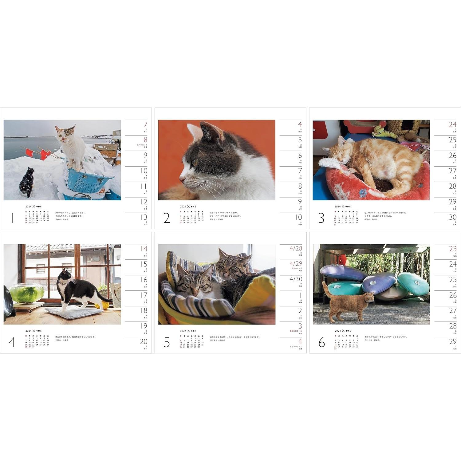 2024 Cat Calendar