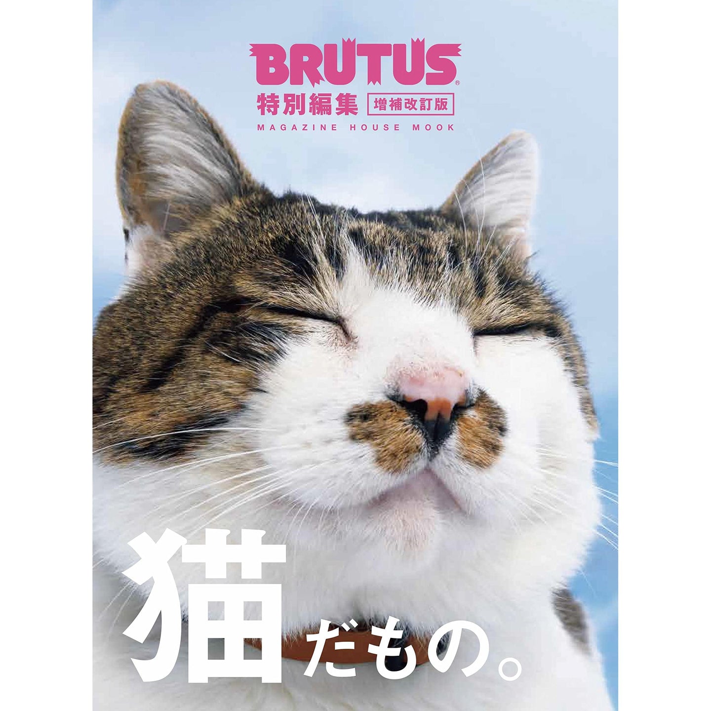 BRUTUS Magazine Cat Issue