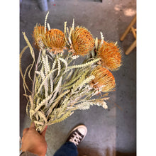 Load image into Gallery viewer, Dried Banksia -Formosa-