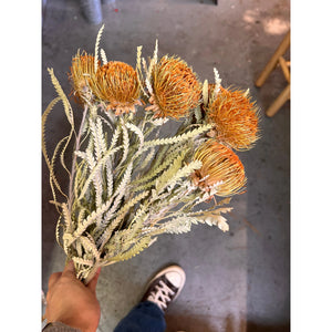 Dried Banksia -Formosa-